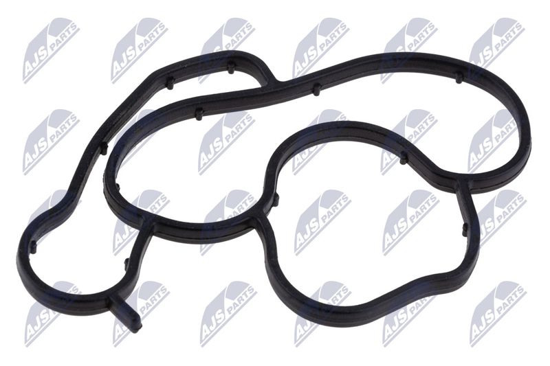 Gasket, oil cooler NTY CCL-BM-081