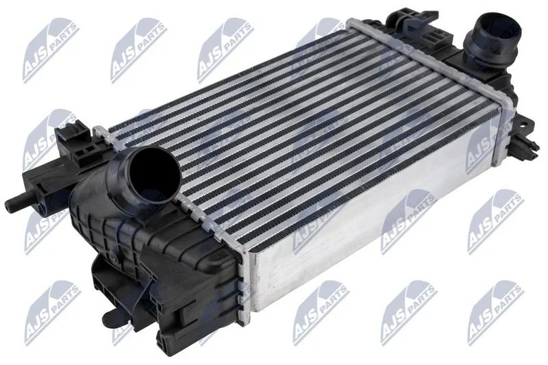 Tarpinis suslėgto oro aušintuvas, kompresorius NTY CNG-PL-007