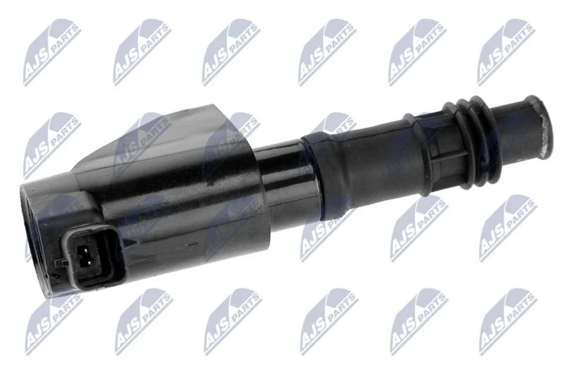 Ritė, uždegimas NTY ECZ-CT-004