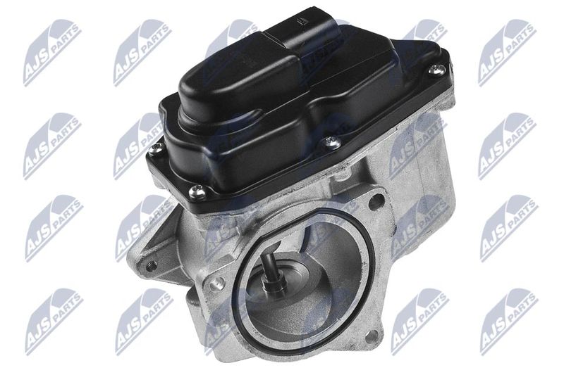 EGR Valve NTY EGR-AU-002