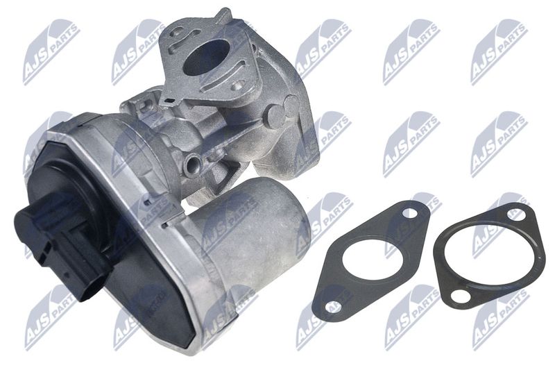 EGR Valve NTY EGR-CT-001