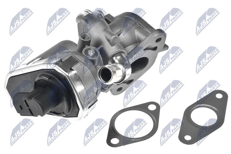 EGR Valve NTY EGR-CT-003