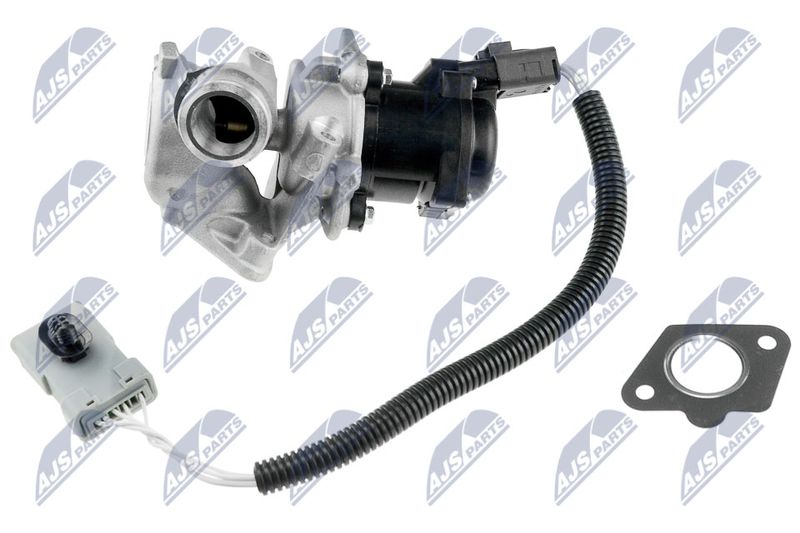 EGR Valve NTY EGR-FR-001