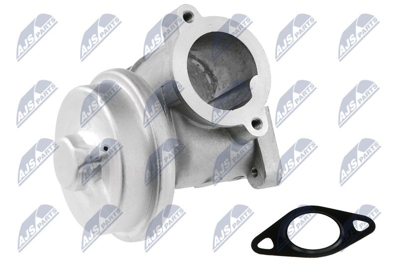 EGR Valve NTY EGR-FR-002