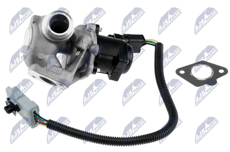 EGR Valve NTY EGR-FR-005