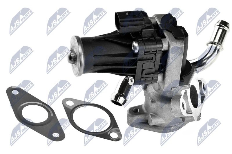 EGR Valve NTY EGR-FR-006