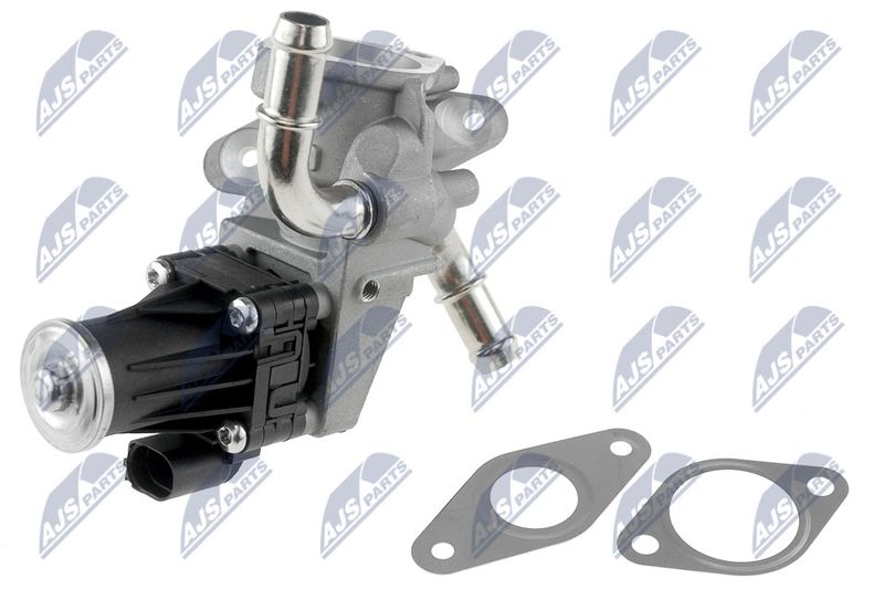 EGR Valve NTY EGR-FR-007