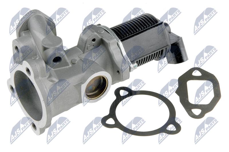 EGR Valve NTY EGR-FT-001