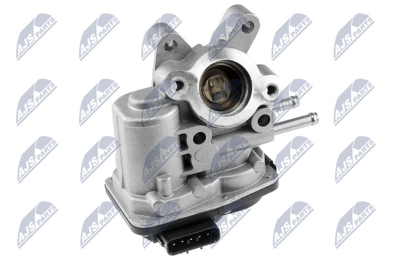 EGR Valve NTY EGR-NS-000