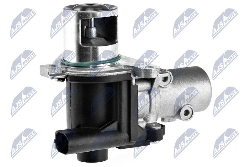 EGR Valve NTY EGR-NS-004