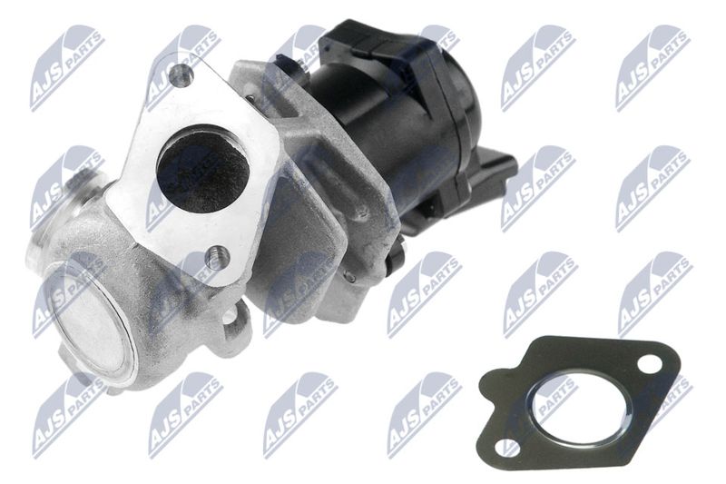 EGR Valve NTY EGR-PE-002