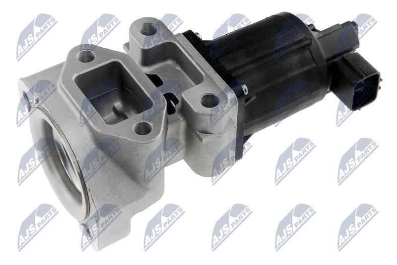 EGR Valve NTY EGR-PL-018