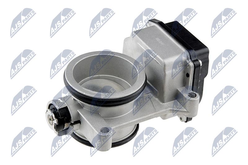 Throttle Body NTY ETB-RE-000