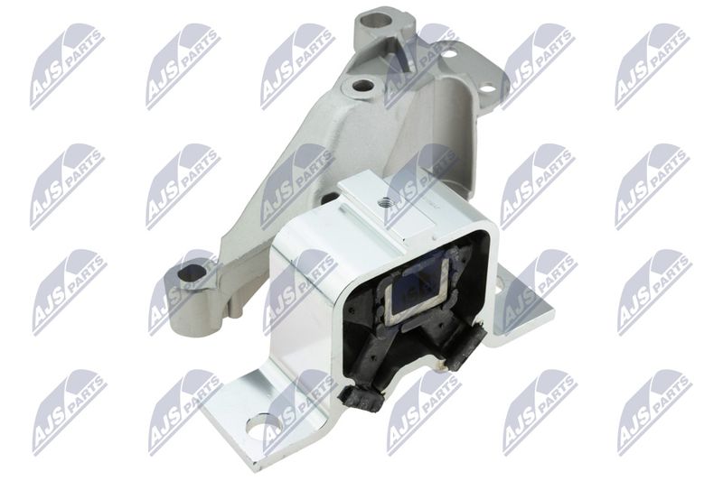 Variklio montavimas NTY ZPS-RE-141