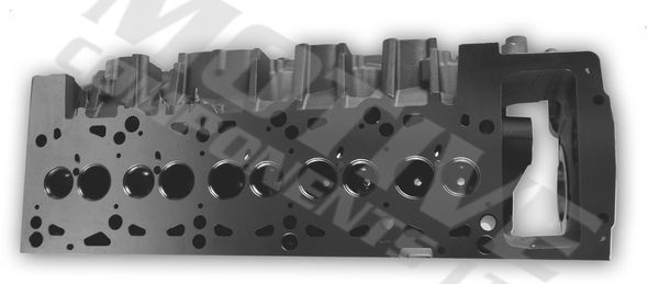 Cylinder Head MOTIVE CYW817