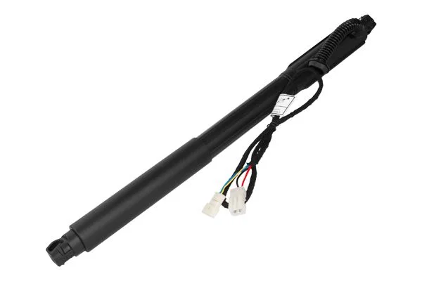 Galinių durų elektros variklis DACO PL0321R