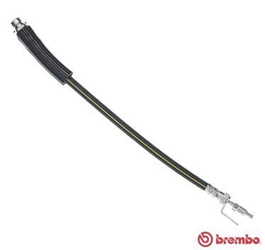 Brake Hose BREMBO T 24 146