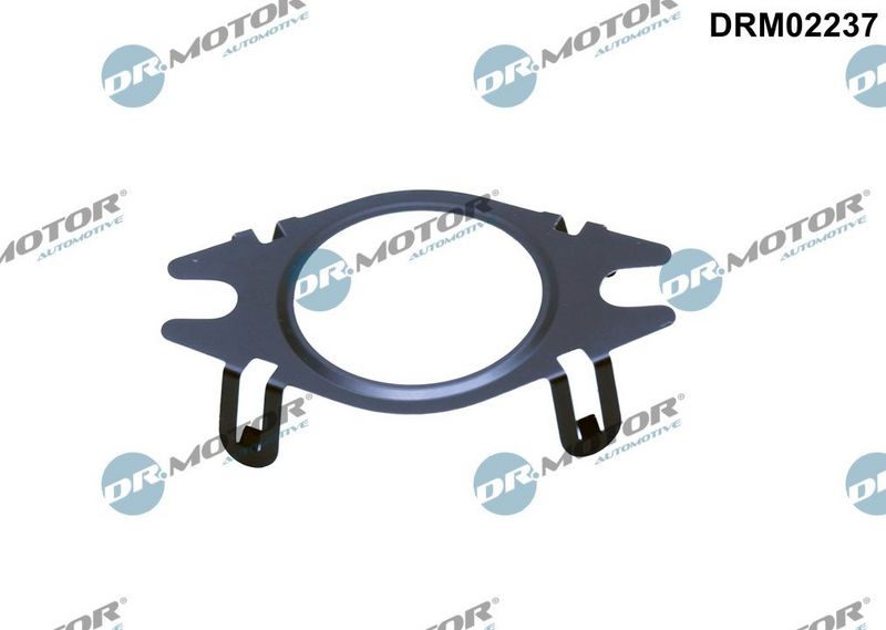 Gasket, EGR valve pipe Dr.Motor Automotive DRM02237