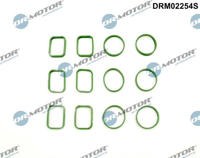 Tarpiklių rinkinys, įsiurbimo kolektorius Dr.Motor Automotive DRM02254S
