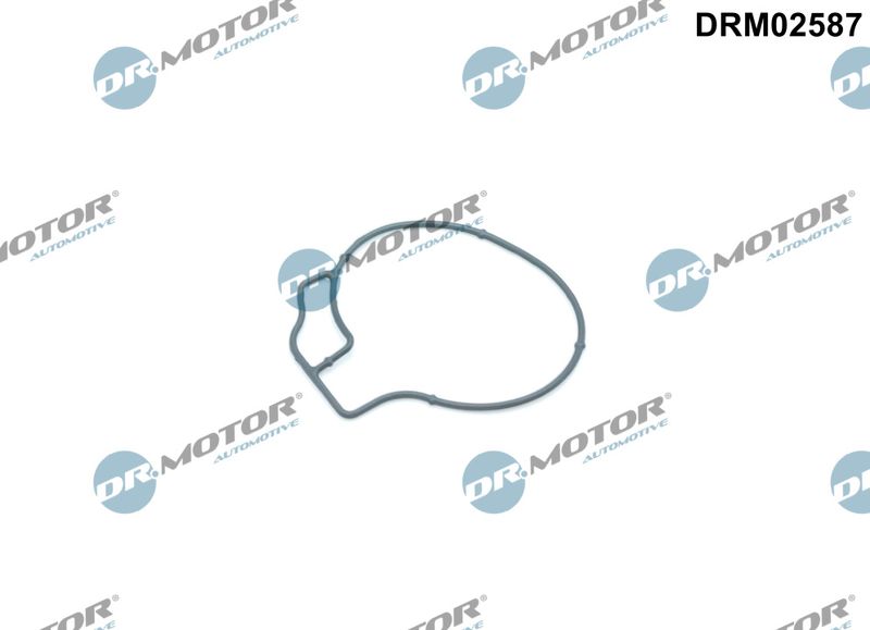 Gasket, vacuum pump Dr.Motor Automotive DRM02587