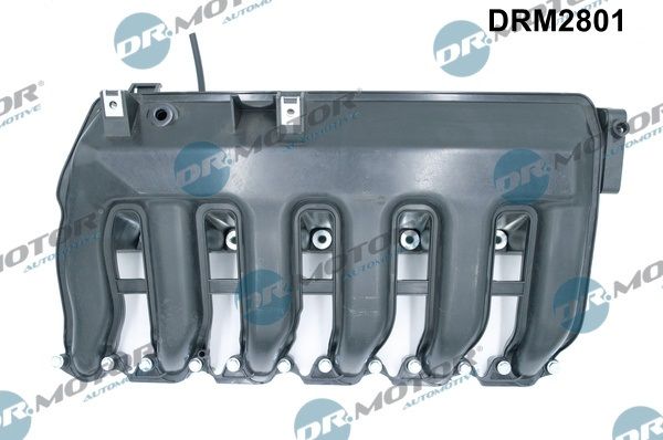Module de collecteur d'admission Dr.Motor Automotive DRM2801