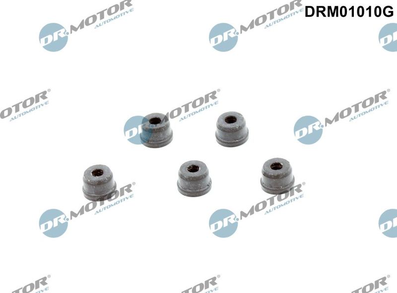 Remonto komplektas, sankabos pagrindinis cilindras Dr.Motor Automotive DRM01010G