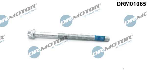Screw, injection nozzle holder Dr.Motor Automotive DRM01065