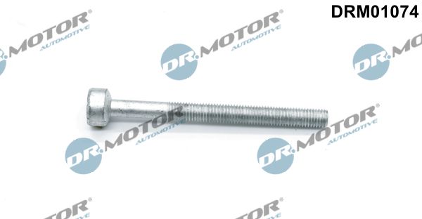 Screw, injection nozzle holder Dr.Motor Automotive DRM01074