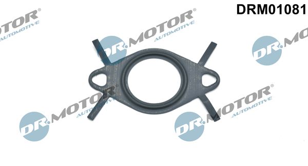 Tarpiklis, EGR vožtuvo vamzdelis Dr.Motor Automotive DRM01081