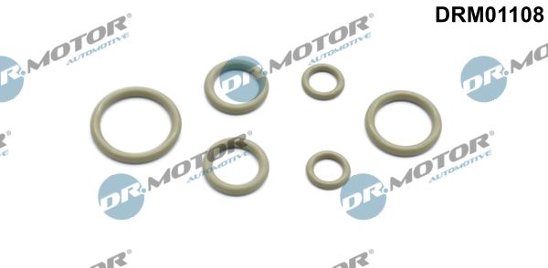 Remonto komplektas, oro kondicionierius Dr.Motor Automotive DRM01108