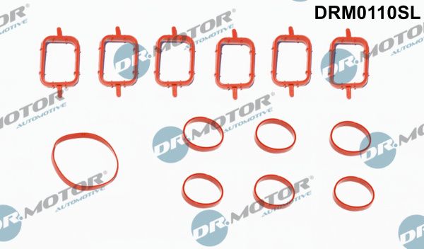 Tarpiklių rinkinys, įsiurbimo kolektorius Dr.Motor Automotive DRM0110SL