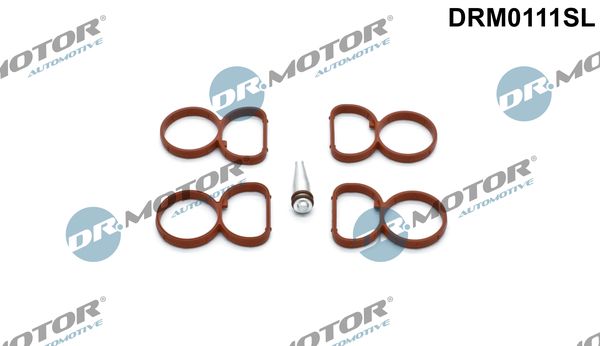 Tarpiklių rinkinys, įsiurbimo kolektorius Dr.Motor Automotive DRM0111SL