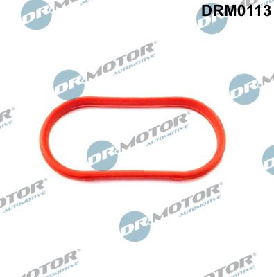 Tarpiklis, įsiurbimo kolektorius Dr.Motor Automotive DRM0113