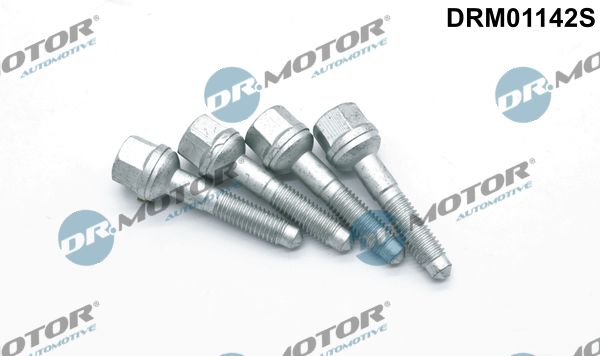 Varžtas, purkštuko antgalio laikiklis Dr.Motor Automotive DRM01142S