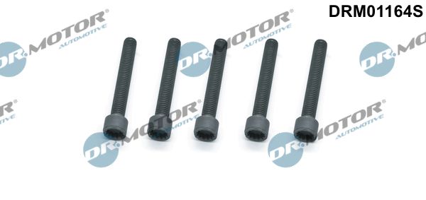 Screw, injection nozzle holder Dr.Motor Automotive DRM01164S