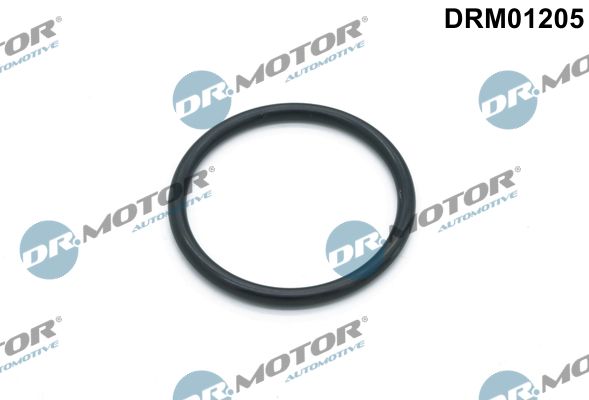 Gasket, water pump Dr.Motor Automotive DRM01205