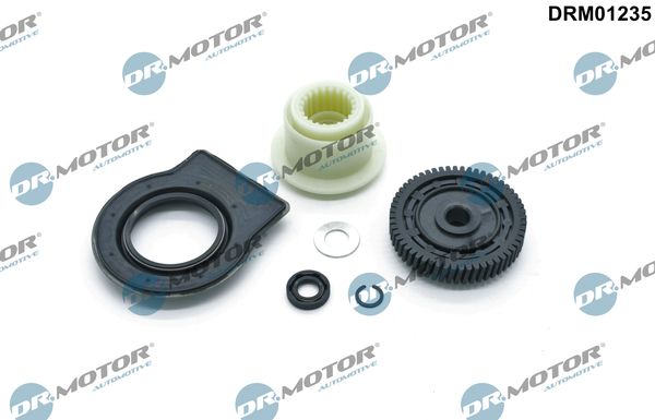 Repair kit, transmission output shaft (AMT) Dr.Motor Automotive DRM01235