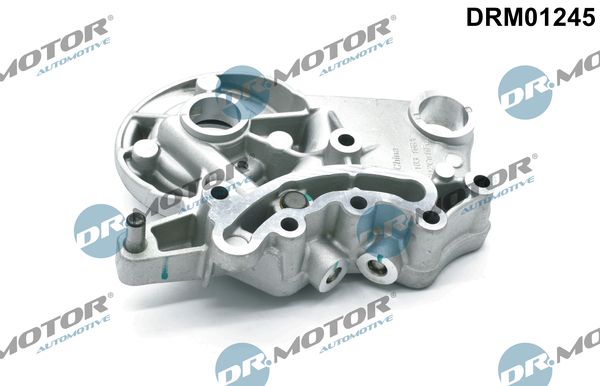 Guolių blokas, skirstomasis velenas Dr.Motor Automotive DRM01245