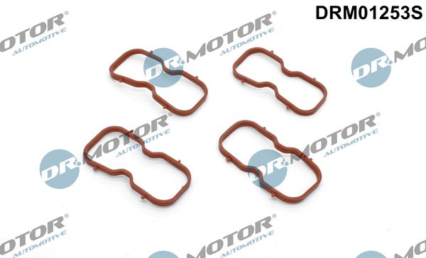 Tarpiklių rinkinys, įsiurbimo kolektorius Dr.Motor Automotive DRM01253S