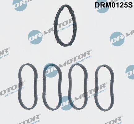 Gasket Set, intake manifold Dr.Motor Automotive DRM0125S