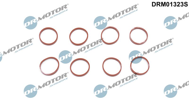 Tarpiklių rinkinys, įsiurbimo kolektorius Dr.Motor Automotive DRM01323S