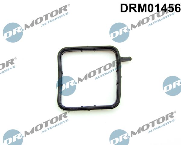 Ущільнення, труба подачі охолоджувальної рідини Dr.Motor Automotive DRM01456