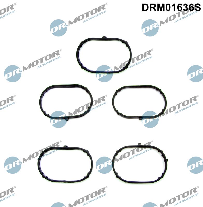 Gasket Set, intake manifold Dr.Motor Automotive DRM01636S