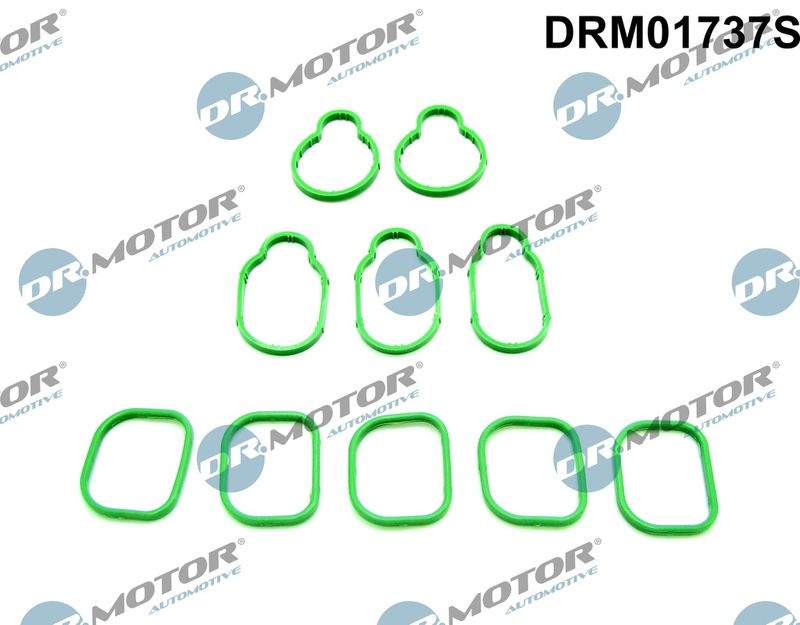 Tarpiklių rinkinys, įsiurbimo kolektorius Dr.Motor Automotive DRM01737S