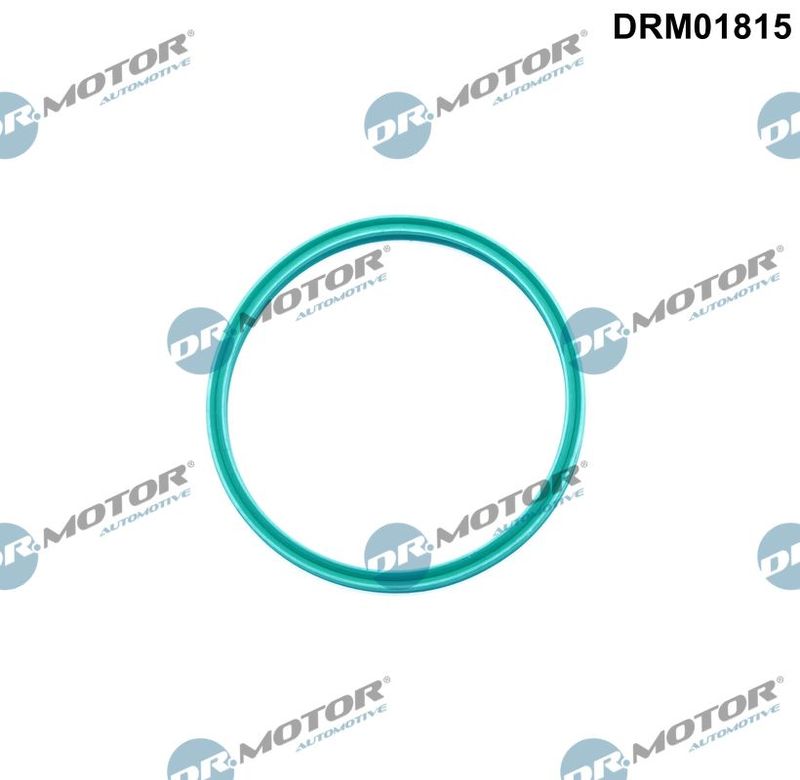 Seal Ring, charge air hose Dr.Motor Automotive DRM01815