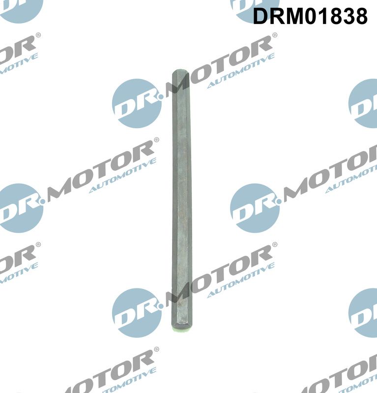 Arbre de transmission, pompe à huile Dr.Motor Automotive DRM01838