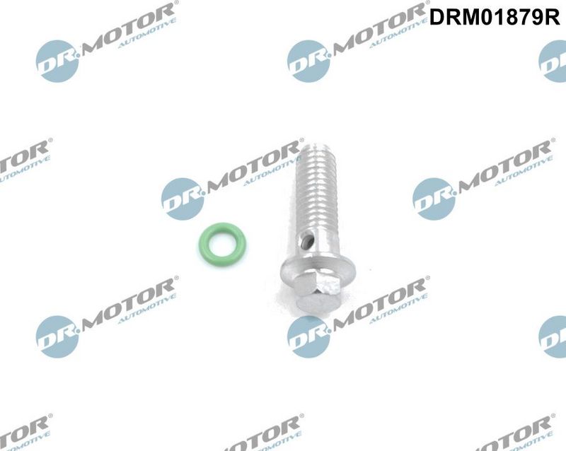 Remonto komplektas, alyvos siurblys Dr.Motor Automotive DRM01879R