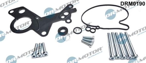 Remonto komplektas, vakuumo siurblys (stabdymo įrenginys) Dr.Motor Automotive DRM0190