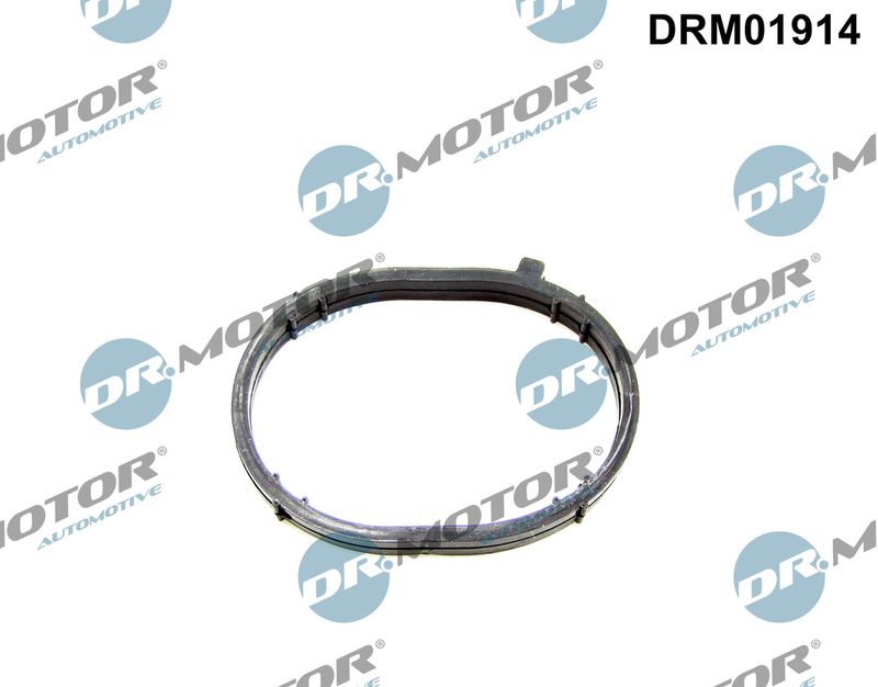 Tarpiklis, įsiurbimo kolektorius Dr.Motor Automotive DRM01914