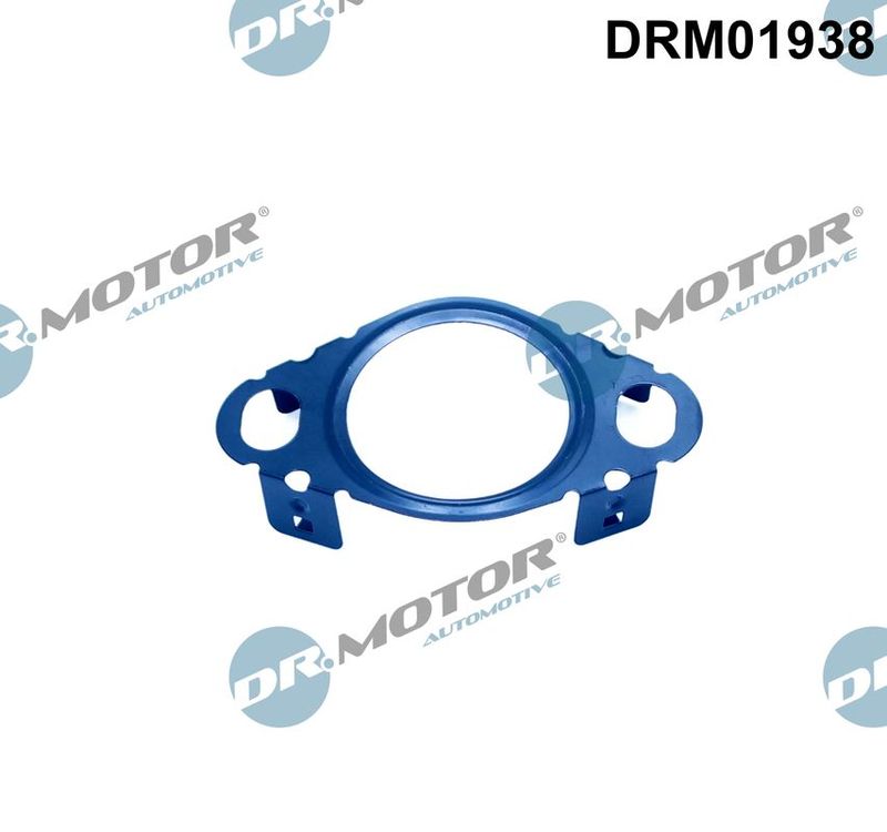 Gasket, EGR valve pipe Dr.Motor Automotive DRM01938